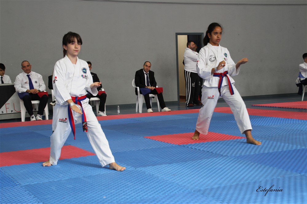 Copa Seul 2018 (431).jpg